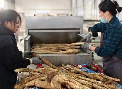 阿拉善盟：育強科技型中小企業(yè) 點燃高質量發(fā)展新引擎