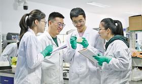 一株菌 一颗“芯” 一条链  