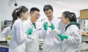 一株菌 一顆“芯” 一條鏈  