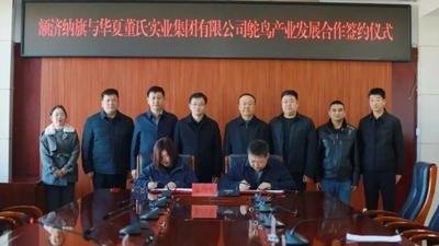 2030年產(chǎn)值劍指20億！額濟(jì)納旗攜手華夏董氏，打造鴕鳥產(chǎn)業(yè)新標(biāo)桿