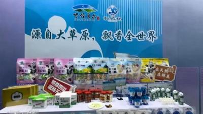 雪原遞柬！呼倫貝爾大草原北京招商推介會11日啟幕