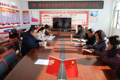 中國(guó)人壽烏蘭察布分公司與興和縣鄂爾棟鎮(zhèn)木棟村開展黨建共建活動(dòng)