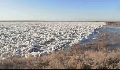 黃河巴彥淖爾段出現(xiàn)首封