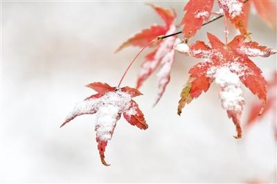 （詩詞歌賦）二氣俱生處 周家正立年