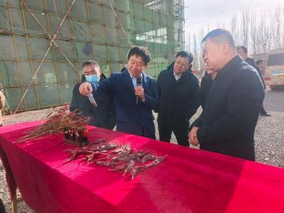 巴彥淖爾經(jīng)濟(jì)技術(shù)開(kāi)發(fā)區(qū)舉辦2025年  “金牌店小二”大比武活動(dòng)