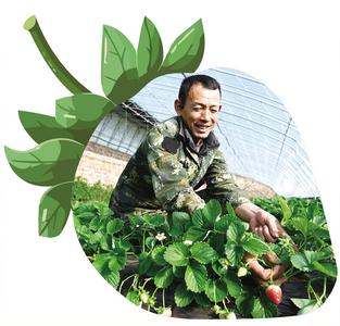 莓好乡村新业态