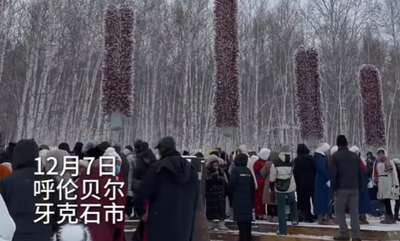 5棵“糖葫蘆樹(shù)”現(xiàn)身呼倫貝爾