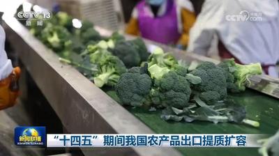 “十四五”期間我國農產品出口提質擴容