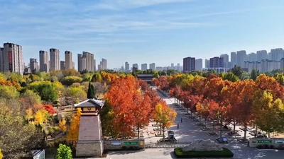 大運河15秒｜冬日“調色板”