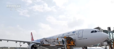 中國農產品出口規模、品類、市場覆蓋面提升 精準服務架起出海“快車道”