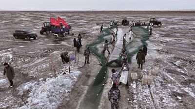 2026年 達(dá)里湖冬捕 正式開始