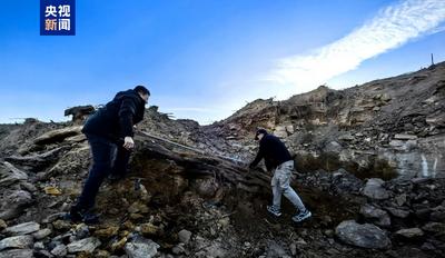 國(guó)家一級(jí)重點(diǎn)保護(hù)！山西一工地發(fā)現(xiàn)2.9億年前大型木化石