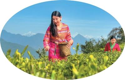 走進(jìn)這里，仿佛擁有整個世界