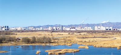 城中草原看冬景