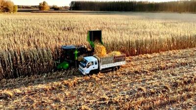 202.1億斤！全區(qū)第一！“二十二連豐”！