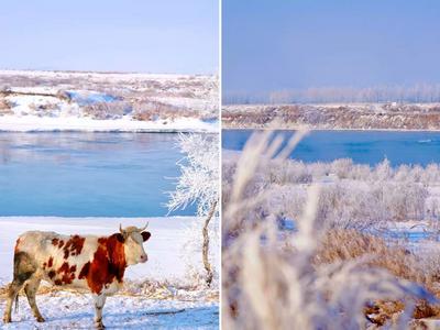 “雪假”点燃冰雪周边游，美团旅行：呼伦贝尔市民机票等预订量增88%，北京、兴安盟、呼和浩特为热门目的地