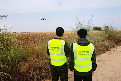 “農(nóng)險(xiǎn)+科技”精準(zhǔn)描繪鄉(xiāng)村振興實(shí)踐新路徑