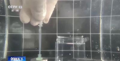 新突破！國(guó)內(nèi)首款自適應(yīng)水凝膠仿生吸盤研發(fā)成功