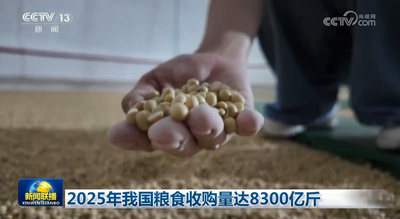 2025年我國糧食收購量達8300億斤