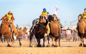 2025阿拉善駱駝超級(jí)聯(lián)賽激戰(zhàn)正酣