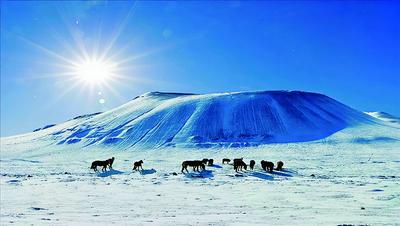 不止火山與冰雪！烏蘭察布冬季旅游多元項目備受青睞！