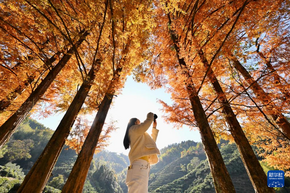 武夷冬韻醉游人