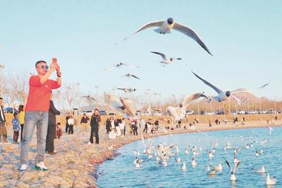 高鐵飛馳入“沙?！?四季烏海邀君來