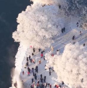 銀裝素裹！吉林市瓊枝玉樹霧凇如畫