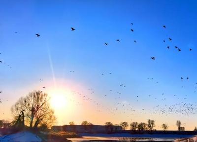內(nèi)蒙古：曉霧霜花染千島