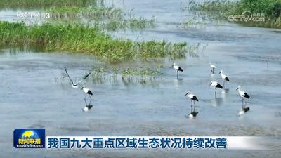 我國(guó)九大重點(diǎn)區(qū)域生態(tài)狀況持續(xù)改善