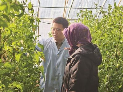 阿拉善：設(shè)施農(nóng)業(yè)激活鄉(xiāng)村振興新動能