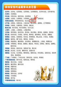高铁托运宠物？赤峰站也可以啦！