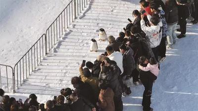 坐上“包頭造”坦克 馳騁冰雪之樂