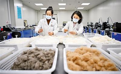 科技提升毛絨產(chǎn)業(yè)競(jìng)爭(zhēng)力