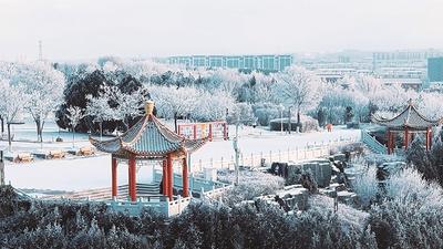 阿拉善盟迎來(lái)新年第一場(chǎng)降雪 霧凇美景如詩(shī)如畫(huà)