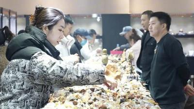 賞石雅集~阿拉善珍品奇石品鑒展精彩開幕