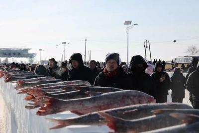 一條江魚“游”出鄉(xiāng)村振興新路徑