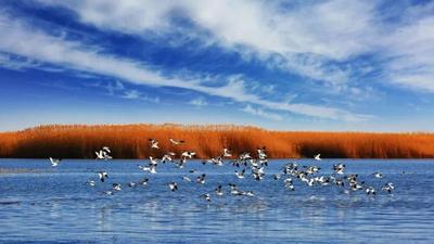 從“相逢”到“相融”！ 阿拉善盟以文旅融合激活各民族“三交”新動(dòng)能