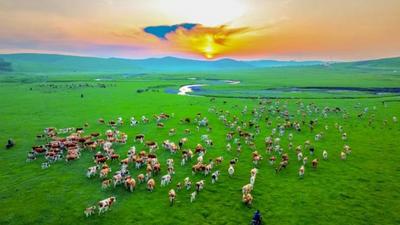 好消息！扎魯特草原游牧系統(tǒng)入選第八批中國(guó)重要農(nóng)業(yè)文化遺產(chǎn)候選項(xiàng)目名單