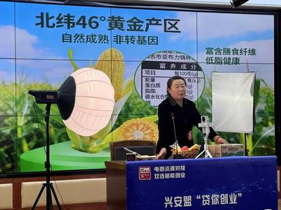 興安盟“千名電商培養(yǎng)計劃”已培養(yǎng)3876名新業(yè)態(tài)人才