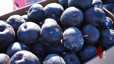 內(nèi)蒙古：凜冬美味香