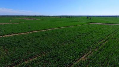 解碼“十五五”丨阿拉善盟：深耕特色農(nóng)牧 為建設(shè)國(guó)家重要農(nóng)畜產(chǎn)品生產(chǎn)基地貢獻(xiàn)力量