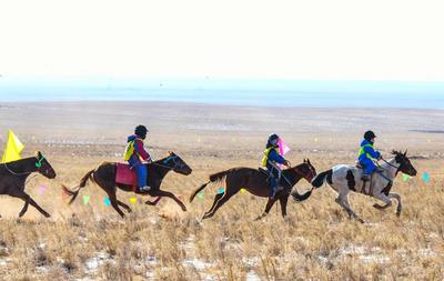 雪漫红山 驼马逐风“歌游内蒙古 欢乐冰雪季”2026乌兰察布第三届冰雪那达慕之驼马争霸赛开赛