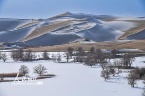 新疆尉犁：雪后大漠美如畫