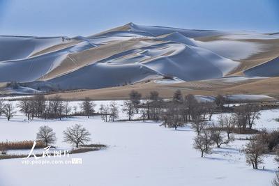 新疆尉犁：雪后大漠美如畫
