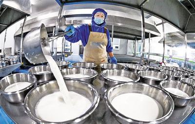 奶制品產(chǎn)業(yè)提檔升級(jí)