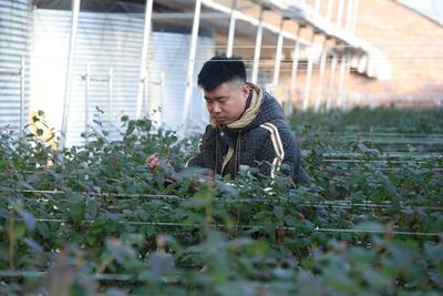 突泉縣：特色產(chǎn)業(yè)旺鄉(xiāng)村