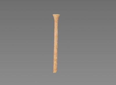 陜西豐京遺址新發(fā)現(xiàn)：西周骨笄見證女子及笄之禮