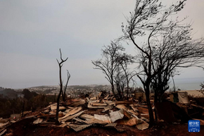 智利：森林火災(zāi)過后的遍地焦土