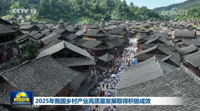 2025年我國鄉(xiāng)村產(chǎn)業(yè)高質(zhì)量發(fā)展取得積極成效